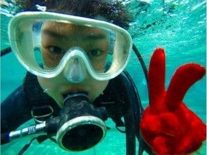 プランの魅力 Experience diving with children ♪ の画像