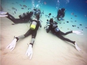 プランの魅力 餵♪ の画像