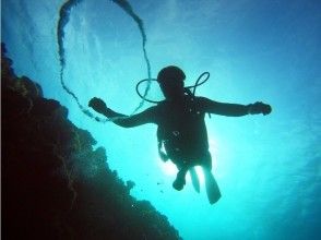 プランの魅力 泡泡圈！ !! の画像