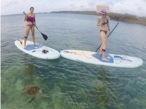 プランの魅力 Wild sea turtles and SUP cruising ☆ の画像