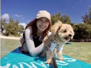 プランの魅力 I recommend this hotel の画像