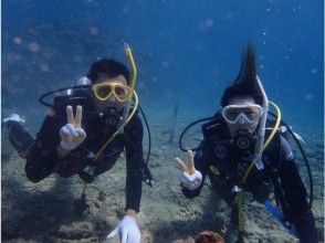 プランの魅力 体验潜水课程 の画像