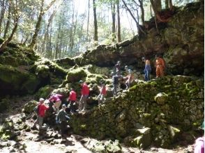 プランの魅力 樹観光客は絶対に足踏み入れない天然洞窟へご案内。 の画像