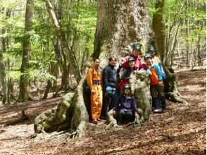 プランの魅力 Deep in the forest, 400-year-old beech and quercus crispula welcome you. の画像