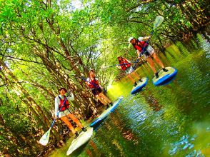 プランの魅力 Mangrove SUP の画像