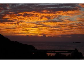 プランの魅力 NECOツーリズムから見る景色 の画像