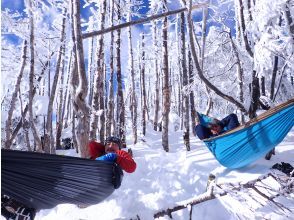 プランの魅力 雪上ハンモック の画像