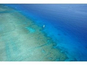 プランの魅力 真正的水族馆♪ の画像