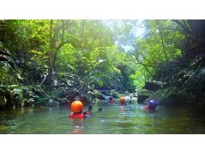 プランの魅力 상쾌! の画像