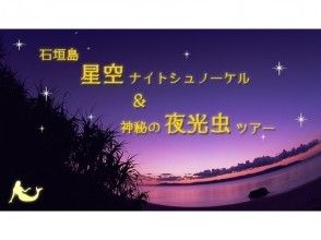 プランの魅力 夜の海でも安全に の画像