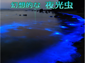 プランの魅力 Fantastic Noctiluca の画像