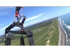 プランの魅力 野生鸟类宝库 の画像