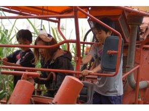 プランの魅力 Giant sugar cane harvesting agricultural machine harvester の画像