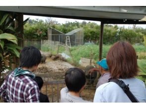 プランの魅力 ガキヤ農場 の画像