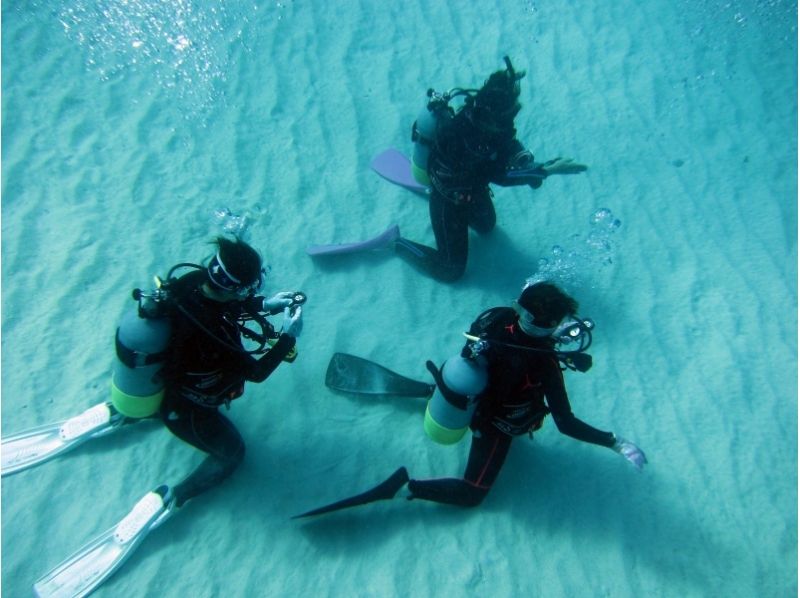 2 persons more PADI Open Water Diver License Course