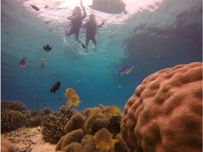 プランの魅力 Coral field の画像
