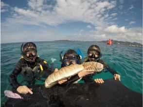 プランの魅力 水中生物 の画像