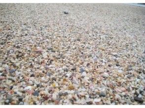 プランの魅力 琴引浜の浜辺の様子。季節によっては、クラフト体験の材料にぴったりの可愛い貝がらがいっぱい! の画像