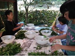 プランの魅力 Various plants are used as materials for plant dyeing の画像