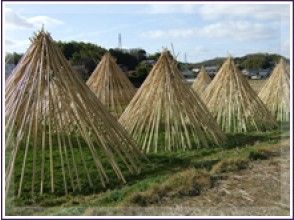 プランの魅力 竹の天日干し の画像