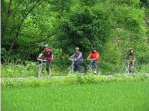 プランの魅力 Let's enjoy the nature of Niseko の画像