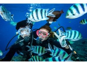 プランの魅力 ＜ ฟรี ＞ ประสบการณ์การให้อาหาร! の画像