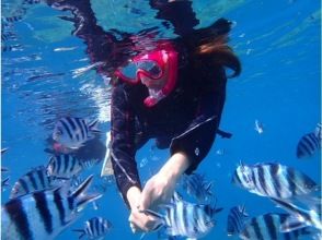 プランの魅力 소문으로 인기의 다이빙 숍 입소문 평가 사이트에서도 당당히 1 위 획득의 우량 점 の画像