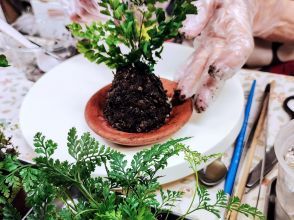 プランの魅力 You can also experience the mini terrarium together. の画像