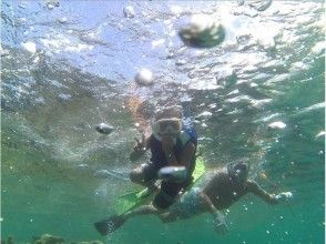 プランの魅力 Family / Couple Support] Boat Snorkeling の画像