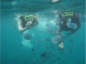 プランの魅力 Family / Couple Support] Boat Snorkeling の画像