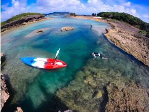 プランの魅力 選べる観察スポット の画像