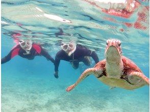 プランの魅力 Sea turtle の画像