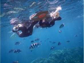 プランの魅力 浮潛 の画像