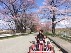 プランの魅力 Rental cart that is very popular with both men and women の画像