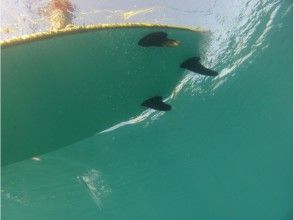 プランの魅力 水に落ちても気持ちいい の画像