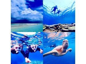 プランの魅力 Premium course of phantom island and sea turtle snorkel の画像