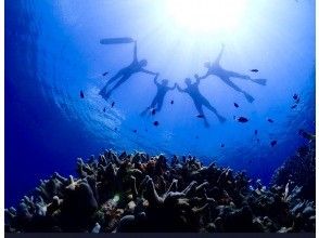 プランの魅力 s Snorkeling on the coral reefs of Sekisei Lagoon の画像