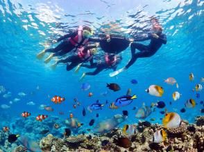 プランの魅力 浮き輪 の画像