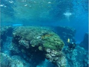 プランの魅力 美しい海 の画像