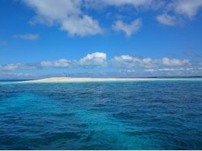 プランの魅力 シュノーケリングの後にはお好きな島に上陸して自由に過ごせる時間もご用意しています の画像