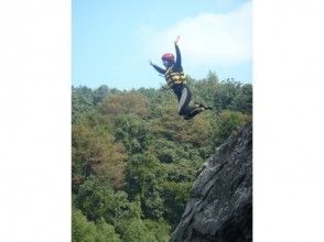 プランの魅力  の画像