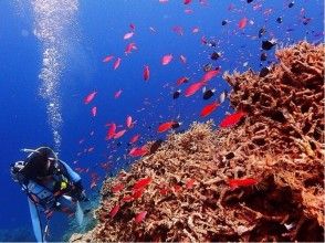 プランの魅力 ライセンス取得後は広く深い海の世界へ！ の画像