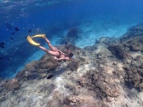 プランの魅力 skin diving の画像