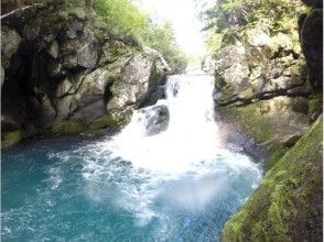 プランの魅力 你可以自然地微笑 の画像