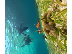 プランの魅力  の画像