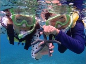 プランの魅力 珍しい生き物と触れ合い の画像