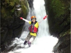 プランの魅力 Gorge waterfall の画像