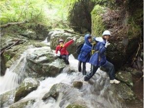 プランの魅力 下の大岩滝 の画像