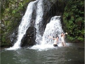 プランの魅力 Dragon God Waterfall Dragon Fall の画像