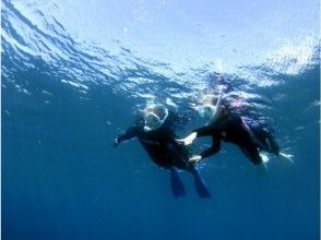 プランの魅力 浮潛 の画像